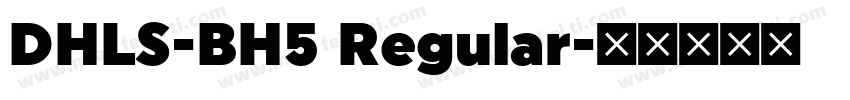 DHLS-BH5 Regular字体转换